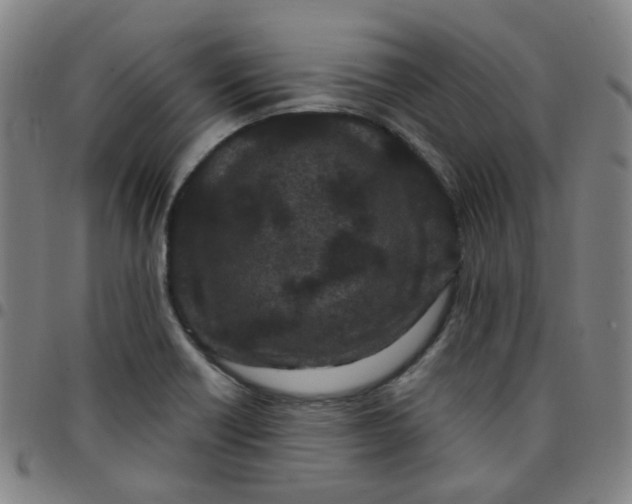 X0000097471418200803071643