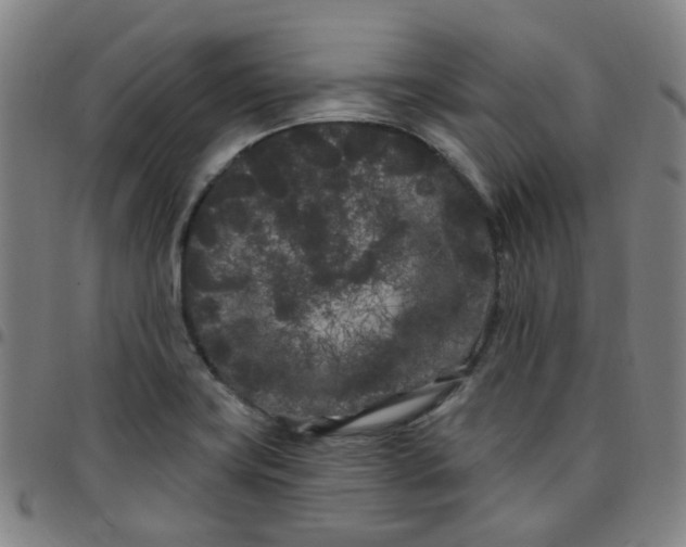 X0000097471419200803071643