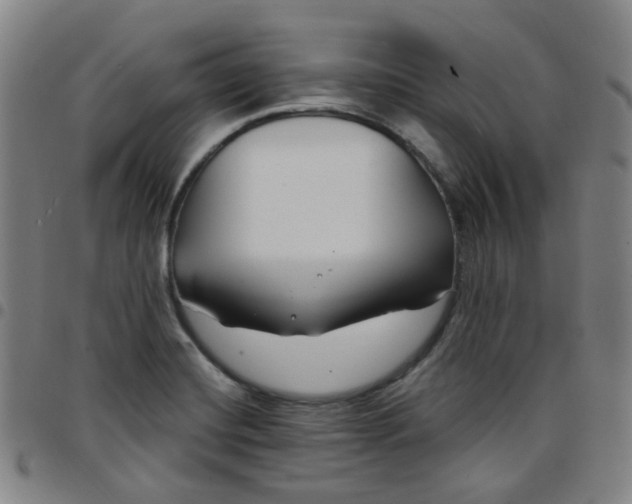 X0000097471420200803071643