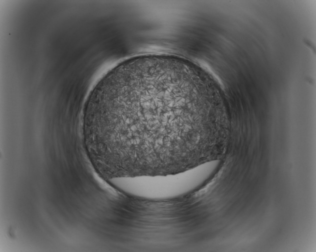 X0000097471421200803071643