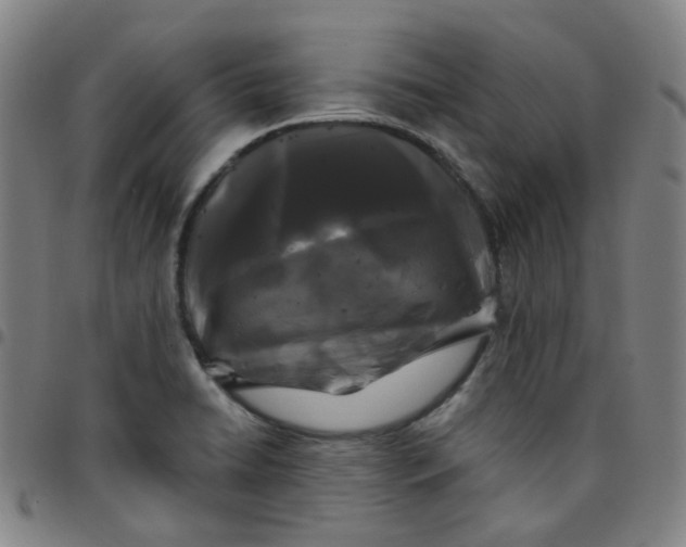 X0000097471422200803071643