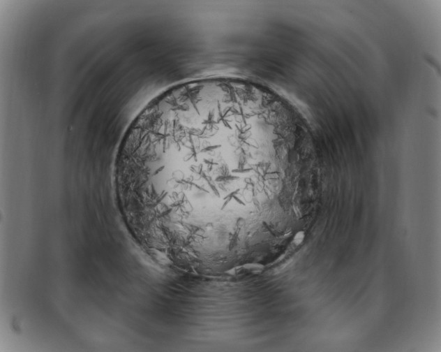 X0000097471423200803071643