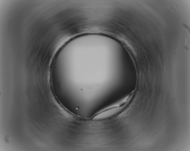 X0000097471424200803071643