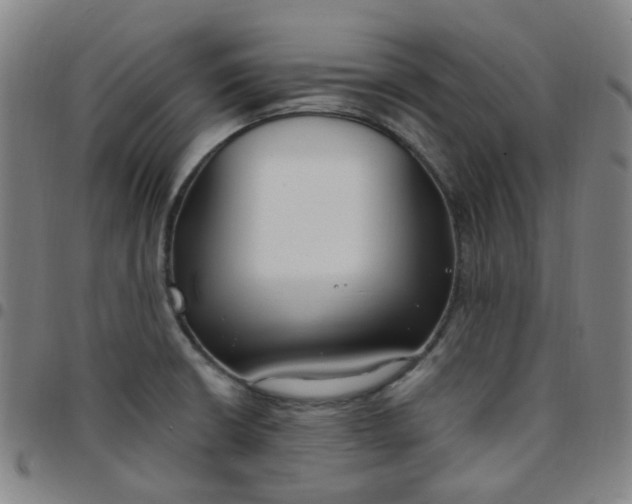 X0000097471426200803071643
