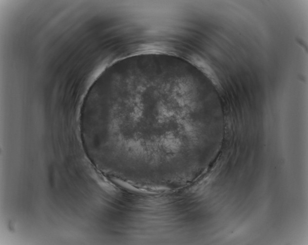 X0000097471427200803071643