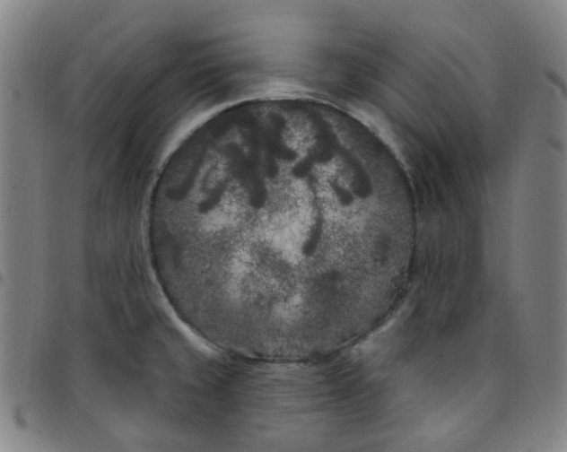 X0000097471429200803071643