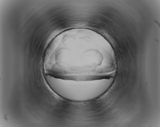 X0000097471432200803071643