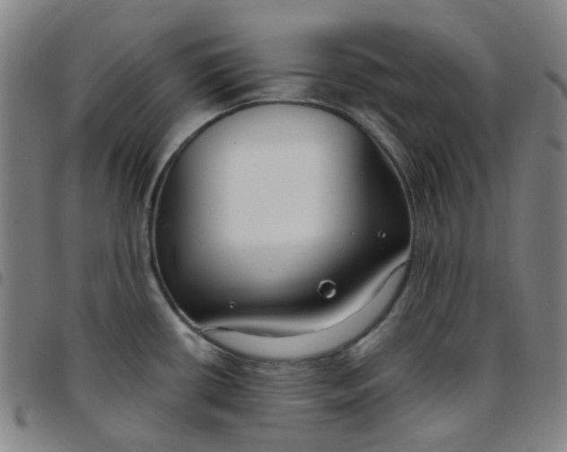 X0000097471434200803071643