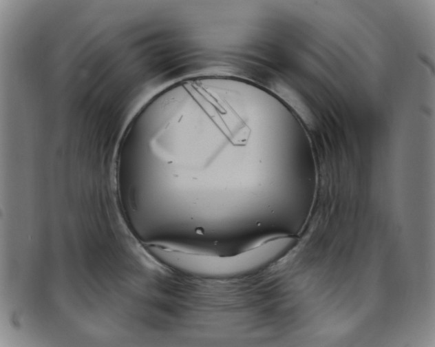 X0000097471436200803071643