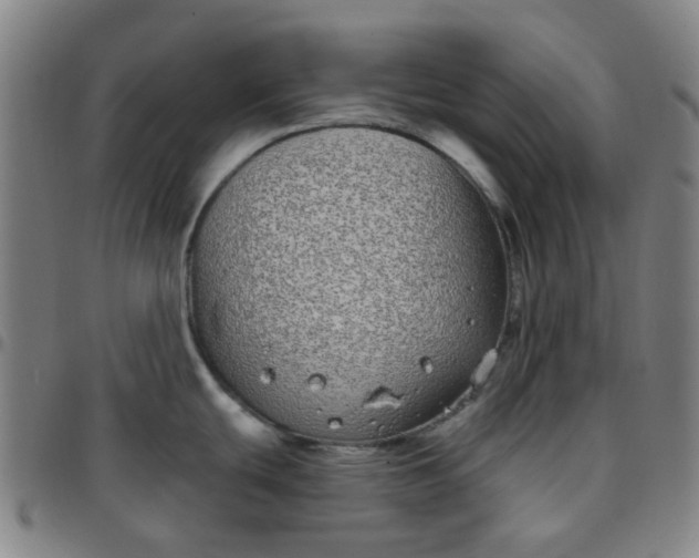 X0000097471439200803071643