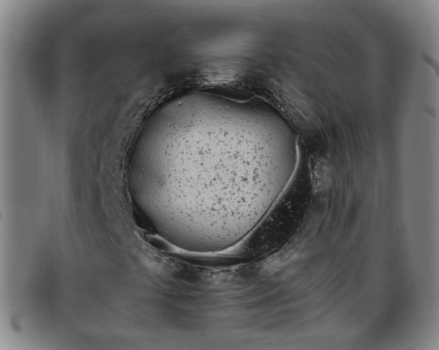 X0000097471441200803071643
