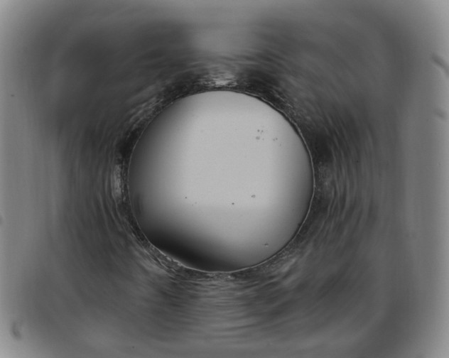 X0000097471442200803071643