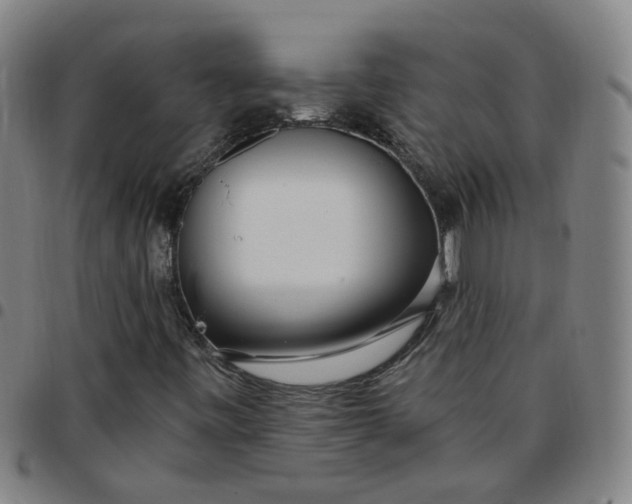 X0000097471443200803071643