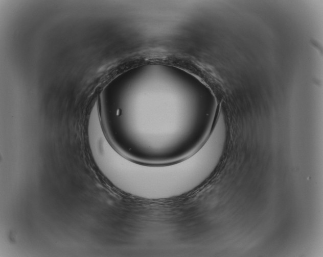 X0000097471445200803071643