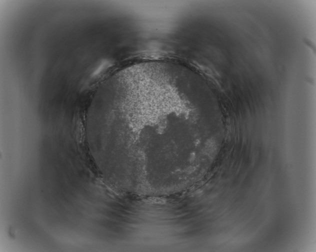 X0000097471446200803071643