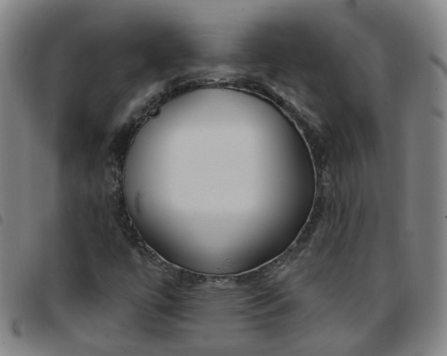X0000097471447200803071643