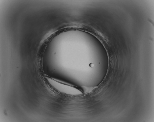 X0000097471448200803071643