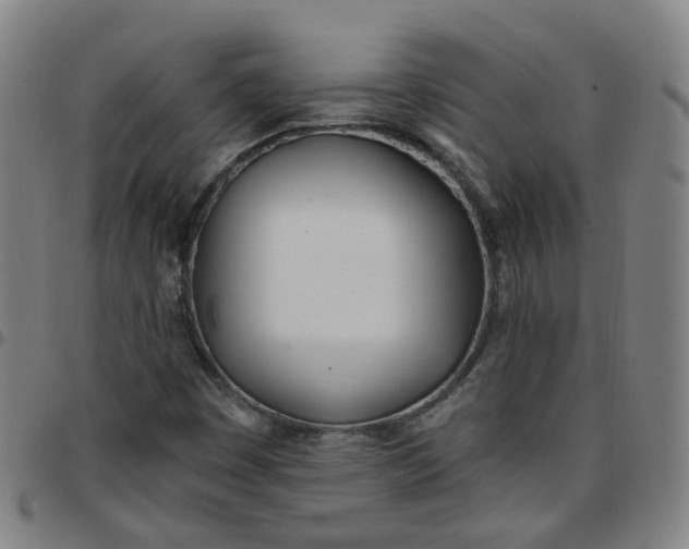 X0000097471449200803071643