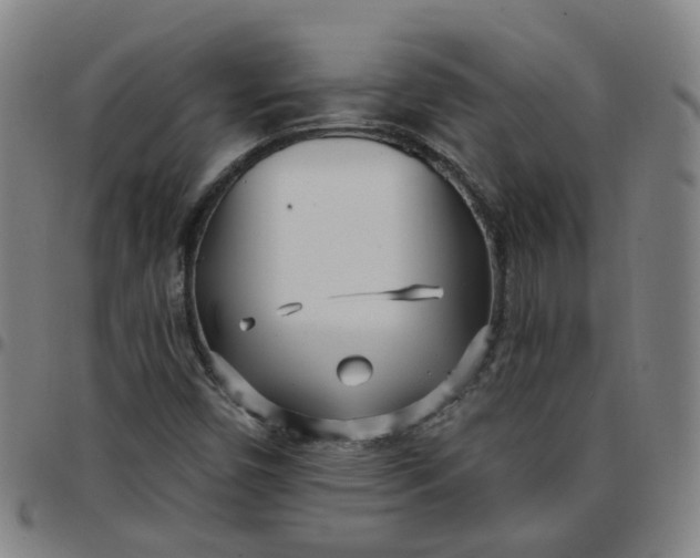X0000097471450200803071643