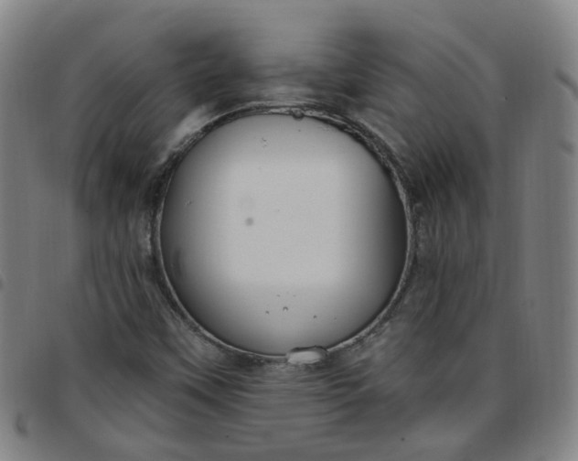 X0000097471451200803071643