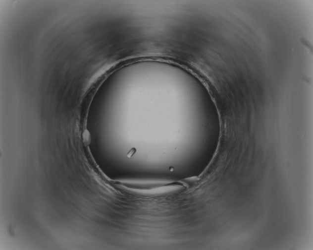 X0000097471452200803071643