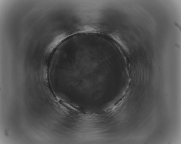 X0000097471455200803071643