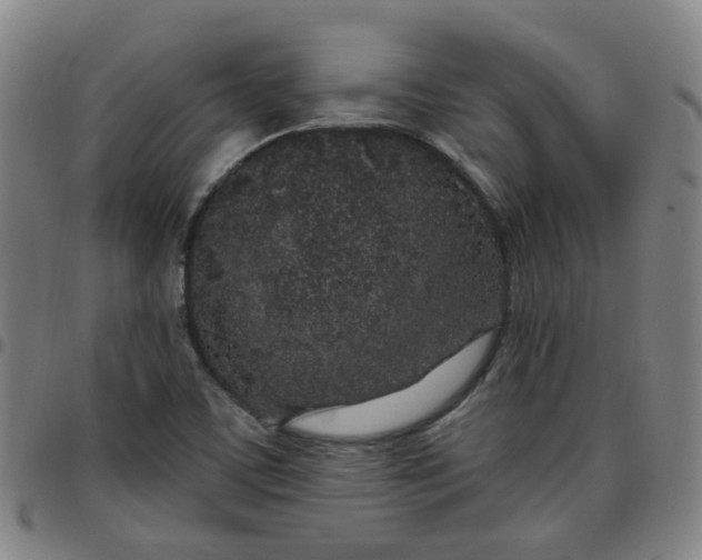 X0000097471459200803071643