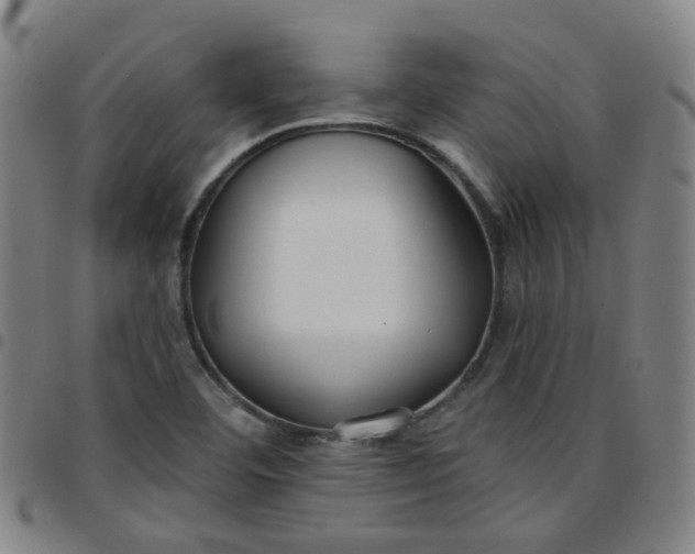 X0000097471460200803071643