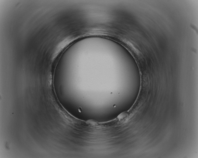 X0000097471461200803071643