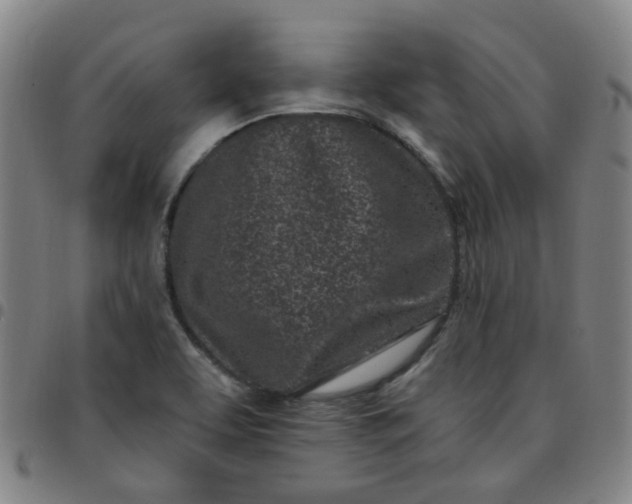 X0000097471463200803071643