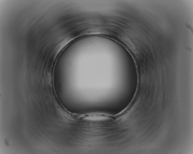 X0000097471465200803071642