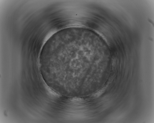 X0000097471466200803071642