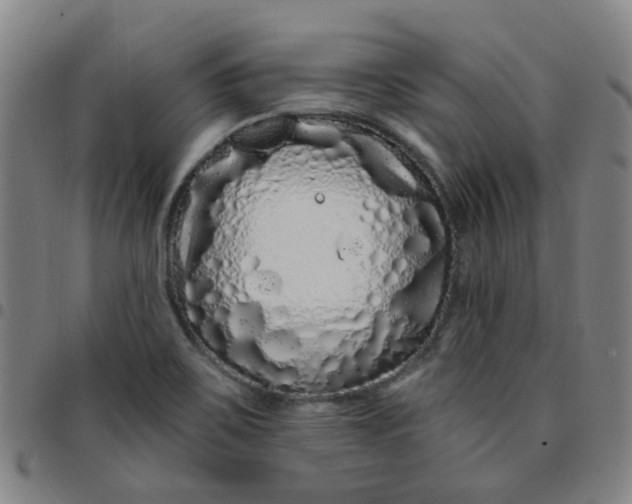 X0000097471467200803071642