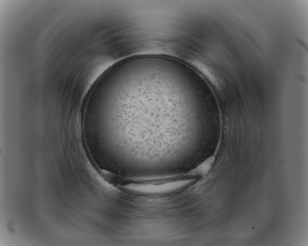 X0000097471468200803071642