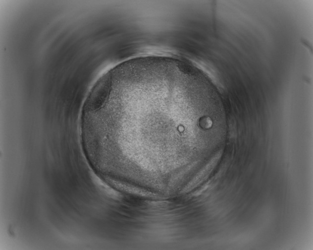 X0000097471471200803071642