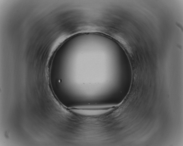 X0000097471472200803071642