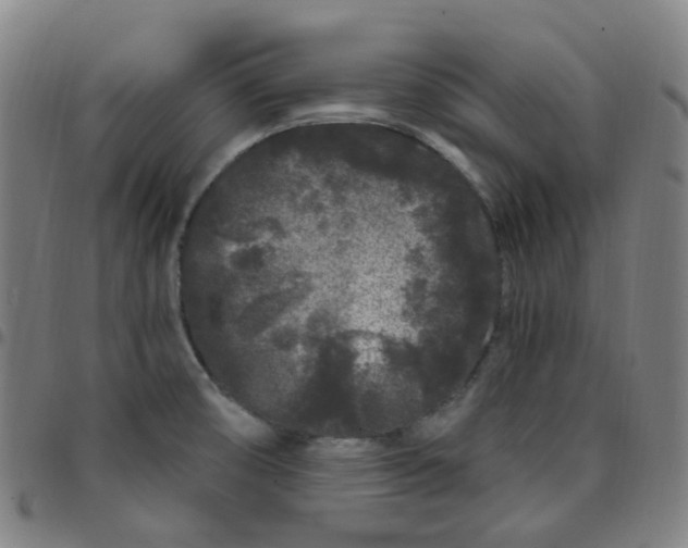 X0000097471474200803071642