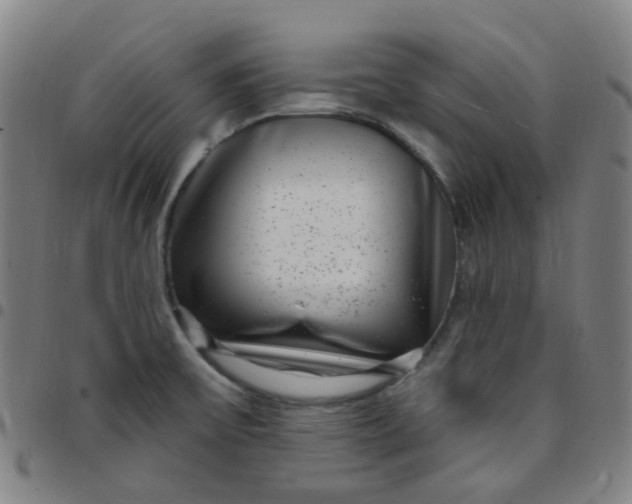 X0000097471475200803071642