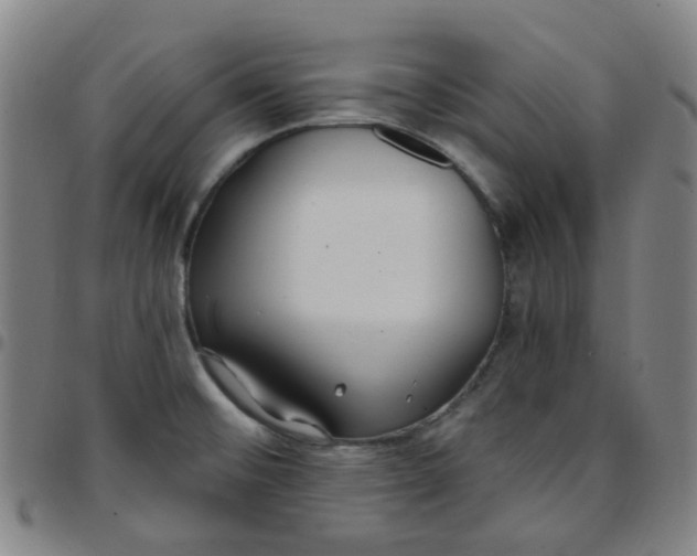 X0000097471476200803071642
