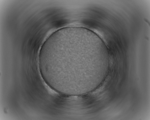 X0000097471478200803071642