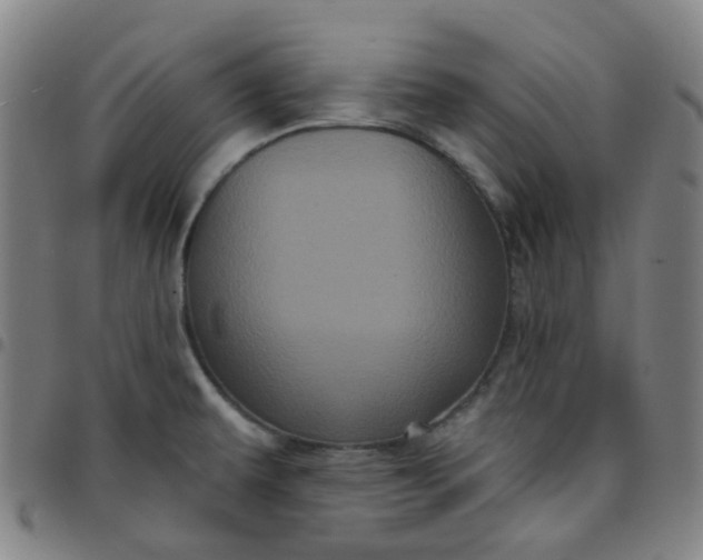 X0000097471479200803071642