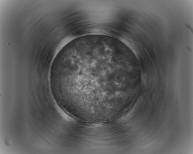 X0000097471482200803071642