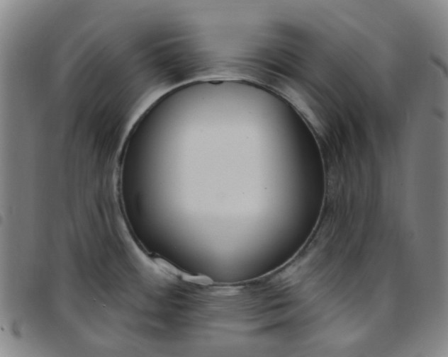 X0000097471484200803071642