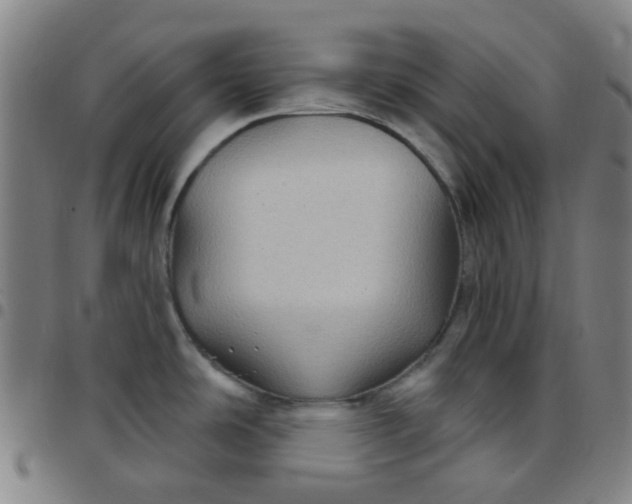 X0000097471486200803071642