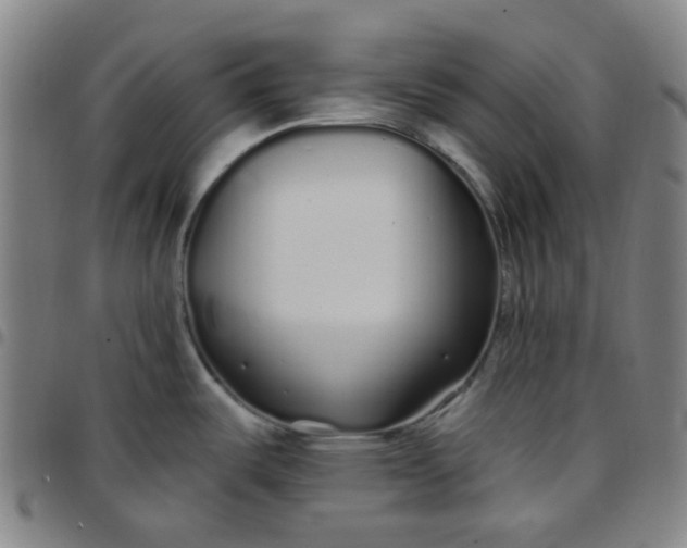 X0000097471487200803071642