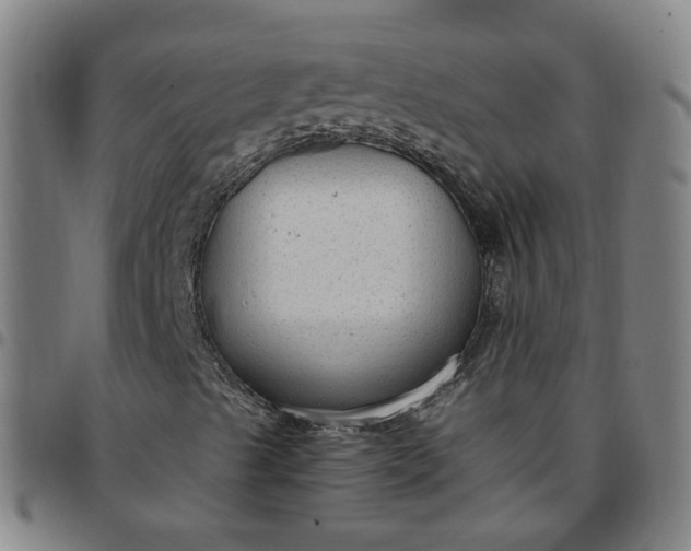 X0000097471489200803071642
