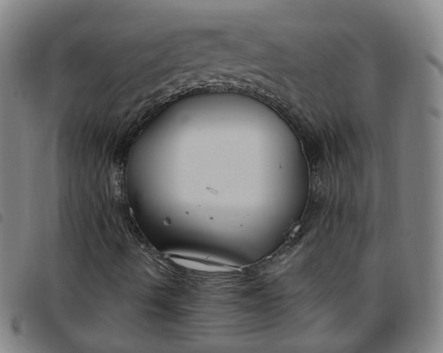 X0000097471490200803071642