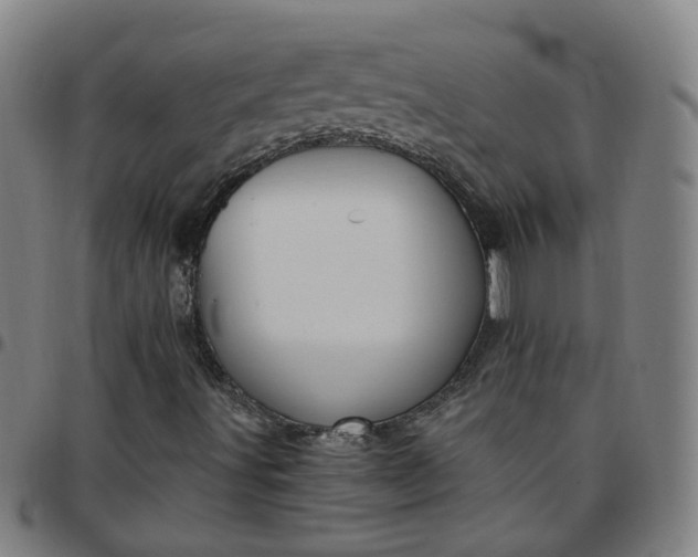 X0000097471491200803071642