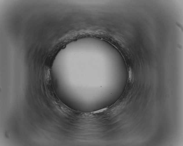 X0000097471492200803071642