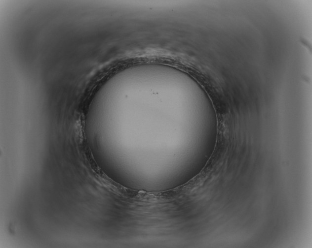 X0000097471493200803071642